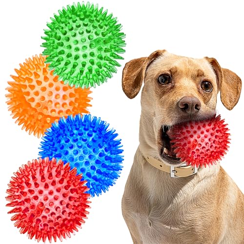 SHARLOVY Quietschbälle für kleine Hunde, 7,6 cm, 4 Farben, stachelige Hundebälle zum Zahnen, langlebiges Kauspielzeug für Welpen, unzerstörbares Spielzeug zum Apportieren und Trainieren, BPA-frei, von SHARLOVY