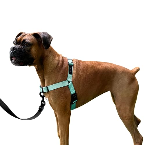 ShawnCo Dream Walk Hundegeschirr, kein Ziehen, verstellbar, bequem, einfach zu bedienen, Haustierhalfter, um das Ziehen zu stoppen, für kleine, mittelgroße und große Hunde (Meeresschaum, M) von SHAWNCO