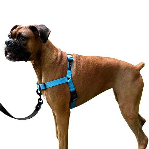 ShawnCo Dream Walk Hundegeschirr, kein Ziehen, verstellbar, bequem, einfach zu bedienen, Haustierhalfter, um das Ziehen zu stoppen, für kleine, mittelgroße und große Hunde (Ozeanisches Blau, XL) von SHAWNCO