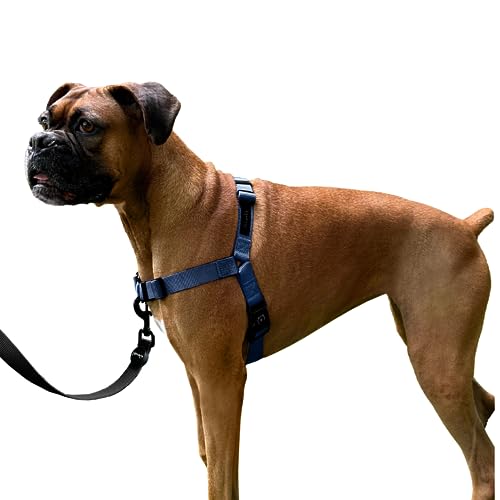 ShawnCo Dream Walk Hundegeschirr gegen Ziehen, verstellbar, bequem, einfach zu bedienen, Haustier-Halfter gegen Ziehen für kleine, mittelgroße und große Hunde (Pazifikblau, S) von SHAWNCO