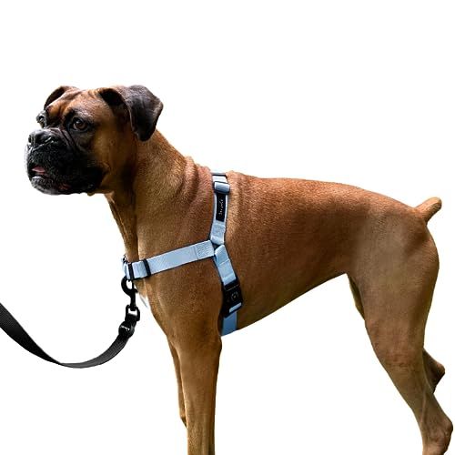 ShawnCo Dream Walk Hundegeschirr gegen Ziehen, verstellbar, bequem, einfach zu bedienen, Haustierhalfter, um das Ziehen für kleine, mittelgroße und große Hunde zu stoppen (Moonglow, S) von SHAWNCO