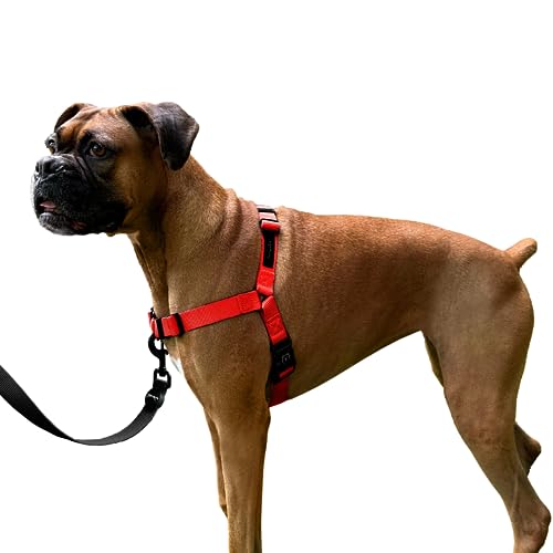 ShawnCo Dream Walk Hundegeschirr gegen Ziehen, verstellbar, bequem, einfach zu bedienen, Haustierhalfter, um das Ziehen für kleine, mittelgroße und große Hunde zu stoppen (Mustang-Rot, L) von SHAWNCO
