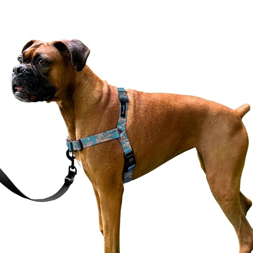 ShawnCo Dream Walk Hundegeschirr gegen Ziehen, verstellbar, bequem, einfach zu bedienen, Haustierhalfter, um das Ziehen zu stoppen, für kleine, mittelgroße und große Hunde, Kunstmuster-Designs von SHAWNCO
