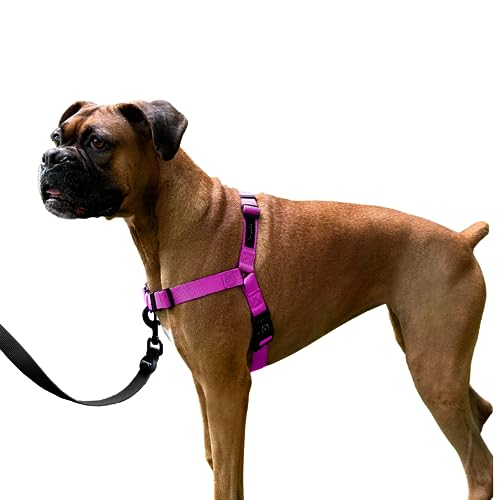 ShawnCo Dream Walk Hundegeschirr gegen Ziehen, verstellbar, bequem, einfach zu bedienen, Haustierhalfter, um das Ziehen zu stoppen, für kleine, mittelgroße und große Hunde (Orchidee, L) von SHAWNCO