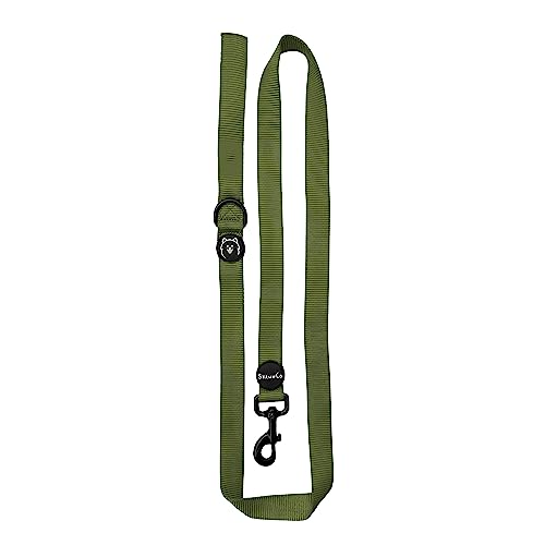 ShawnCo Dream Walk Hundeleine, Premium-Nylon-Haustier-Leine mit weichem Neopren-Griff für kleine, mittelgroße und große Hunde (Olivgrün, Größe M/L) von SHAWNCO