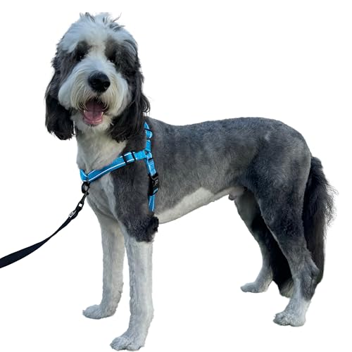 ShawnCo Dream Walk Pro Hundegeschirr, kein Ziehen, bequem, verstellbar, einfach zu bedienen, Haustier-Halfter, um das Ziehen für kleine, mittelgroße und große Hunde zu stoppen (Ozeanblau, Größe L) ShawnCo Dream Walk Pro Hundegeschirr, kein Ziehen, bequem, verstellbar, einfach zu bedienen, Haustier-Halfter, um das Ziehen für kleine, mittelgroße und große Hunde zu stoppen (Ozeanblau, Größe L) von SHAWNCO
