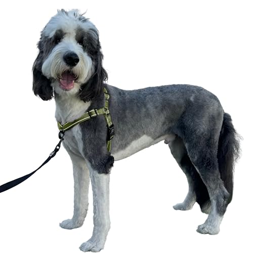 ShawnCo Dream Walk Pro Hundegeschirr, kein Ziehen, bequem, verstellbar, einfach zu bedienen, Haustier-Halfter, um das Ziehen zu stoppen für kleine, mittelgroße und große Hunde (Olivgrün, Größe L) ShawnCo Dream Walk Pro Hundegeschirr, kein Ziehen, bequem, verstellbar, einfach zu bedienen, Haustier-Halfter, um das Ziehen zu stoppen für kleine, mittelgroße und große Hunde (Olivgrün, Größe L) von SHAWNCO
