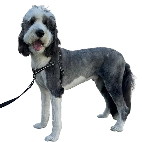 ShawnCo Dream Walk Pro Hundegeschirr, kein Ziehen, bequem, verstellbar, einfach zu bedienen, Haustier-Halfter gegen Ziehen für kleine, mittelgroße und große Hunde (Mitternacht, Größe L) von SHAWNCO