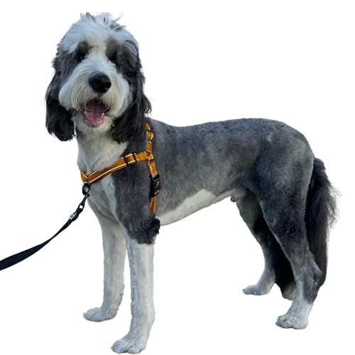 ShawnCo Dream Walk Pro Hundegeschirr, kein Ziehen, bequem, verstellbar, einfach zu bedienen, Haustier-Halfter gegen Ziehen für kleine, mittelgroße und große Hunde (Sunset Orange, L) von SHAWNCO