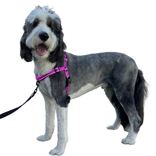 ShawnCo Dream Walk Pro Hundegeschirr, kein Ziehen, bequem, verstellbar, einfach zu bedienen, Haustierhalfter, um das Ziehen zu stoppen, für kleine, mittelgroße und große Hunde (Orchidee, L) von SHAWNCO