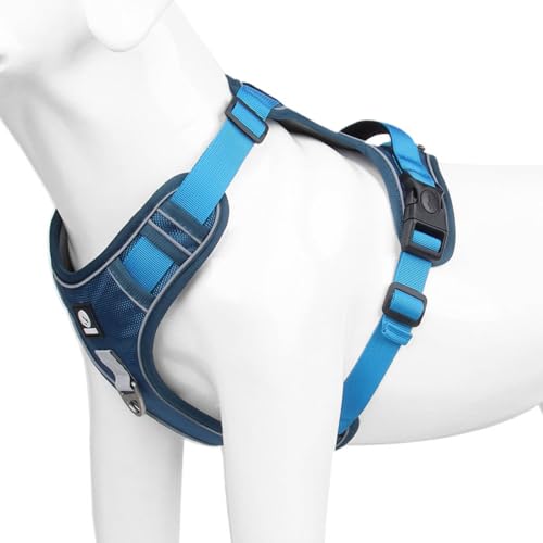 SHENGLINE Pet No Pull Hundegeschirr, verstellbares Nylon-Geschirr mit weicher Polsterung, reflektierend und strapazierfähig Hundegeschirr für kleine, mittelgroße und große Hunde (Hellblau, M) von SHENGLINE