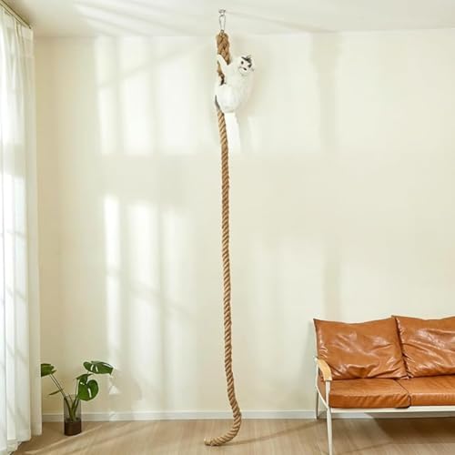 SHENGOCASE 4,8 cm x 2,4 m Katzenkletter-Juteseil für Decke mit Haken, Wandmontage, Möbel für Innen- und Außenbereich, 2,4 m von SHENGOCASE