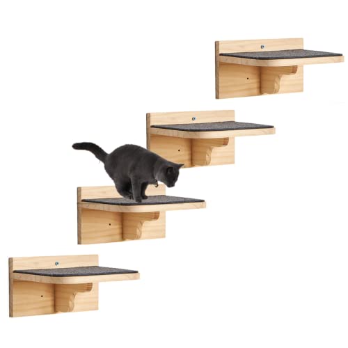 SHENGOCASE 4er-Pack 25,4 x 17,8 cm große Katzen-Wandstufen, Regale, Katzen-Wandmöbel, Wandmontage, Katzentreppe Katzen-Sitzstange SHENGOCASE 4er-Pack 25,4 x 17,8 cm große Katzen-Wandstufen, Regale, Katzen-Wandmöbel, Wandmontage, Katzentreppe Katzen-Sitzstange von SHENGOCASE