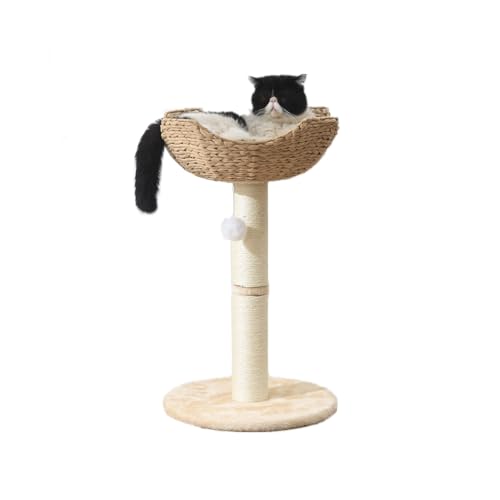 SHENGOCASE Kleiner Katzenbaum Turm mit großem 45 cm Rattan-Weidenkorb, handgewebter Nestkorb, Bett, Fensterstange für große Katzen bis zu 11,3 kg SHENGOCASE Kleiner Katzenbaum Turm mit großem 45 cm Rattan-Weidenkorb, handgewebter Nestkorb, Bett, Fensterstange für große Katzen bis zu 11,3 kg von SHENGOCASE