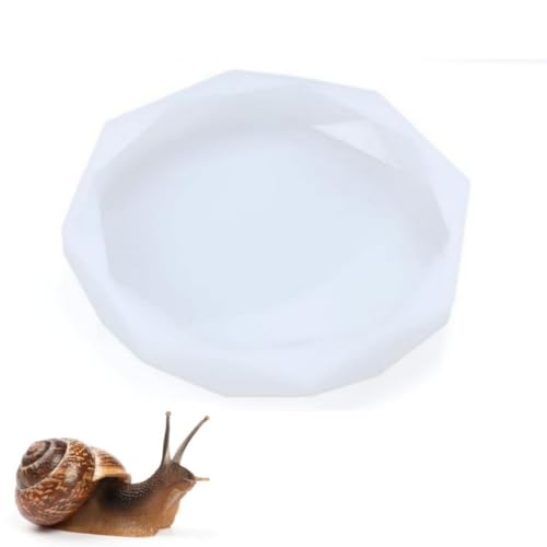 Schnecken-Wassernapf für Landschnecken Haustierschnecken Wassernapf Silikon Schnecken Futterschale Schnecke Kalziumschale (Weiß, 1 Stück) von SHENGYIYISHENG