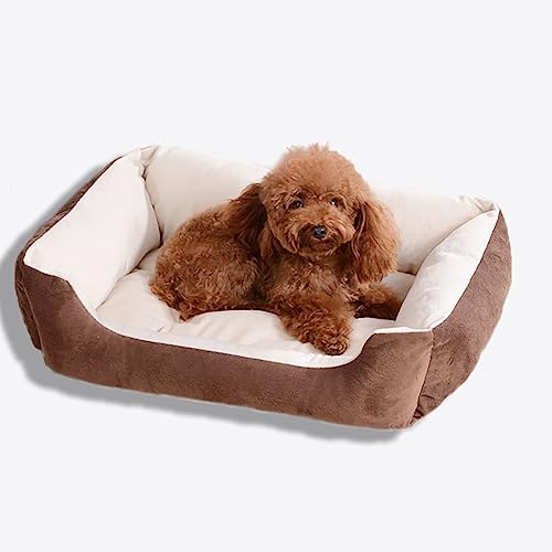 Orthopädisches Hundebett mit Seiten für große und mittelgroße Hunde, rechteckig, bequem und atmungsaktiv (S (23,5 x 17,5 x 5,8 cm), Kaffee) von SHENJIA