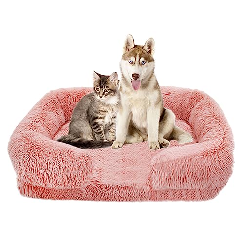 SHENJIA Langes Plüsch-Hundebett aus Memory-Schaum, großes Hundebett mit Seiten, waschbar, rutschfeste Unterseite, Katzenbett für große, mittelgroße und kleine Hunde (Größe: S (48,3 x 38,1 x 13,7 cm), SHENJIA Langes Plüsch-Hundebett aus Memory-Schaum, großes Hundebett mit Seiten, waschbar, rutschfeste Unterseite, Katzenbett für große, mittelgroße und kleine Hunde (Größe: S (48,3 x 38,1 x 13,7 cm), von SHENJIA