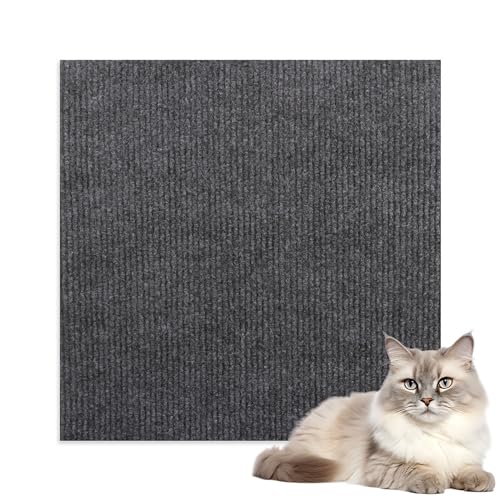 SHESHY Kratzmatte Katze, Katzenkratzbretter, Kratzbrett Wand, Kratzmatte Selbstklebend, Kratzschutz Sofa, DIY Trimmbarer Teppich Matte Pad, Katze Kratzteppich für Schützt Teppiche und Sofas SHESHY Kratzmatte Katze, Katzenkratzbretter, Kratzbrett Wand, Kratzmatte Selbstklebend, Kratzschutz Sofa, DIY Trimmbarer Teppich Matte Pad, Katze Kratzteppich für Schützt Teppiche und Sofas von SHESHY