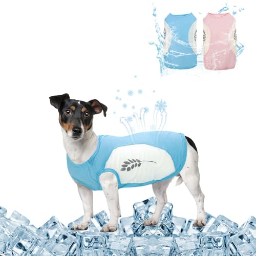 SHAOMIN Kühlshirt für Hunde, 2 Stück, dehnbar, Sommer, kühles Haustier-Sweatshirt, leicht, schnell trocknend, atmungsaktiv, weiche Katzenbekleidung für kleine, mittelgroße und große Rassen, Rosa und von SHIAOMIN