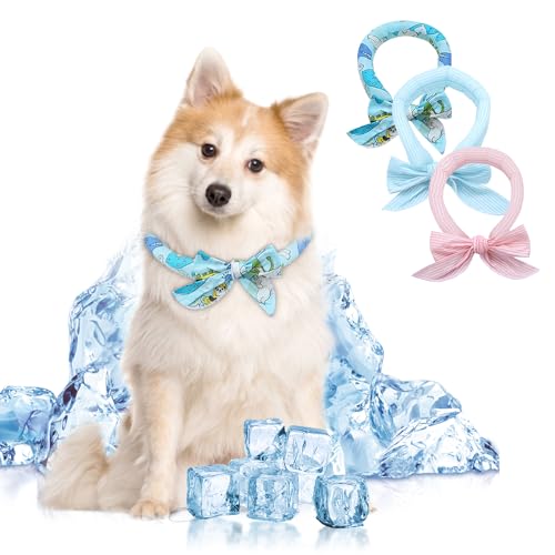 SHIAOMIN Hunde-Eishalstuch, kühlendes Halstuch, für kleine Hunde und mittelgroße Hunde, 3 Stück von SHIAOMIN