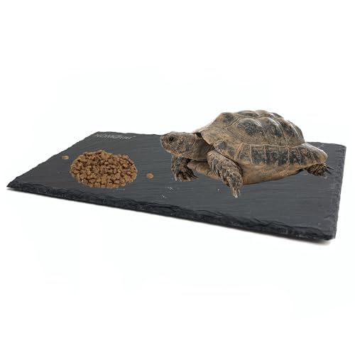 SHIGATSU Reptilien-Basking Plattform Rock, Fütterung Futterschale, Ruhe-Terrasse, leicht zu mahlen die Nägel, 15 x 30 cm von SHIGATSU