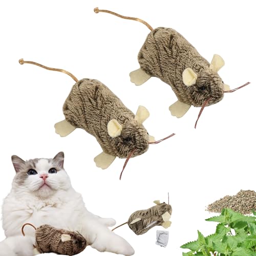 SHIMMURR Katzenspielzeug Mäuse Spielzeug (2-teiliges Set) von SHIMMURR