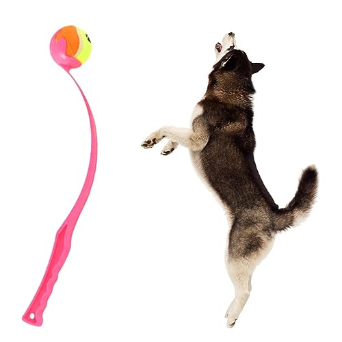 SHINROAD Ballwerfer für Hunde, Ballschleuder für Hunde, Wurfarm Hund, Hunde Ballschleuder mit Ball, Hund Ballschleuder, 45cm (Rot) von SHINROAD