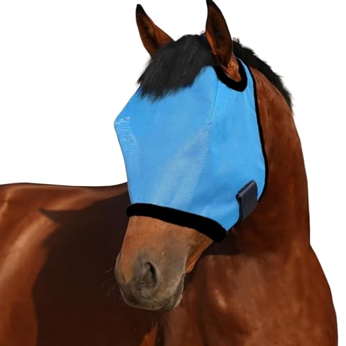 SHINROAD Equine Gesichtsschutz, Sonnenschutz, UV-Halbabdeckung für Pferde, verstellbar, atmungsaktiv, Netzstoff, Reitsport mit stabilen Riemen, ideales Reiten, Weiden, Hellblau, Einheitsgröße von SHINROAD