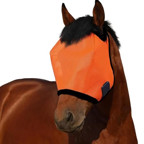 SHINROAD Equine Gesichtsschutz, Sonnenschutz, UV-Halbabdeckung für Pferde, verstellbar, atmungsaktiv, Netzstoff, Reitsport mit stabilen Riemen, ideales Reiten, Weiden, Orange, Einheitsgröße von SHINROAD