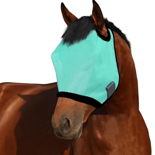 SHINROAD Equine Gesichtsschutz für Pferde, Sonnenschutz, UV-Halbabdeckung für Pferde, verstellbar, atmungsaktiv, Netzstoff, Reitsport mit stabilen Riemen, ideal zum Reiten, Grasen, Grün, Einheitsgröße von SHINROAD