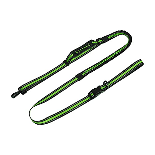 SHINROAD Haustier-Leinenhalsband mit Zugseil und Trainings-Gürtel, reflektierendes Nylon, Grün von SHINROAD