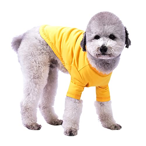 SHINROAD Hunde-Basis-Shirt, einfarbig, modisch, bequem, klein, mittelgroß, Gelb von SHINROAD
