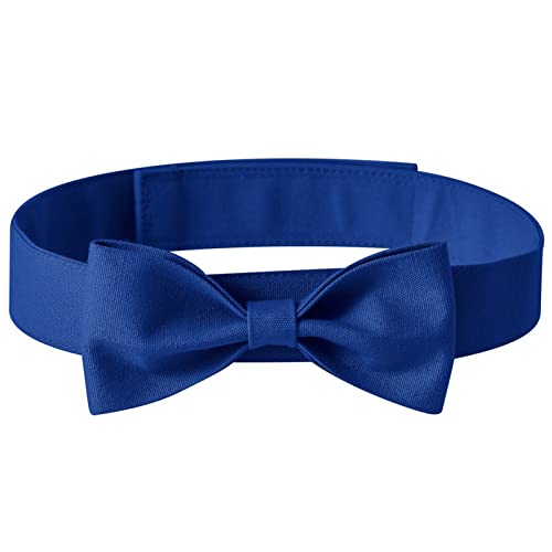 SHINROAD Hundehalsband, Fliege, einfarbig, verstellbar, für Hochzeit, Party, Blau M von SHINROAD