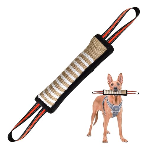 SHINROAD Hundespielzeug Zerrspielzeug Hund Tough Jute Beißkissen - Langlebiges Trainingsgerät - Welpen bis Große Hunde Interaktives Spielzeug für Große Hunde und Kleine Hunde (Schwarz) von SHINROAD