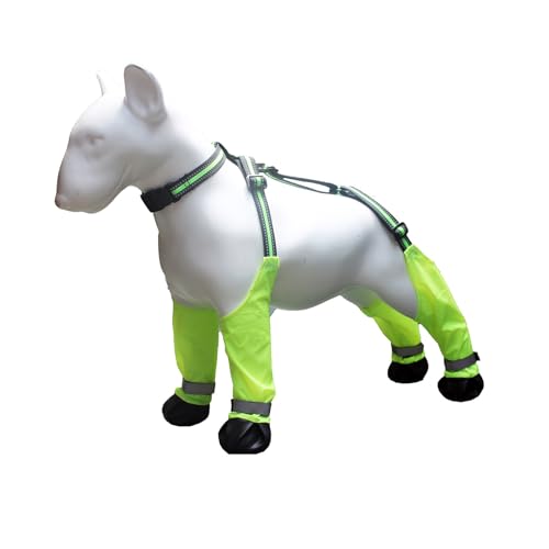 SHINROAD Regenstiefel für Hunde, Hosenträgerstiefel, rutschfest, wasserdicht, verstellbare Leggings für Winter, Schnee, Wandern, Haustierpfotenschutz, Outdoor-Schuhe, Grün, XXL SHINROAD Regenstiefel für Hunde, Hosenträgerstiefel, rutschfest, wasserdicht, verstellbare Leggings für Winter, Schnee, Wandern, Haustierpfotenschutz, Outdoor-Schuhe, Grün, XXL von SHINROAD