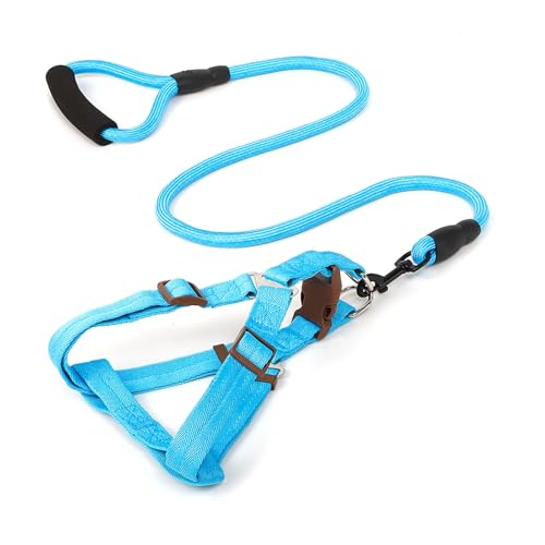 SHINROAD Robustes, langlebiges Haustiergeschirr, Nylon-Leine, verstellbares Hunde-Set mit weich gepolstertem Griff, ausbruchsicheres Design für kleine, mittelgroße Hunde und Katzen, bequeme Traktion SHINROAD Robustes, langlebiges Haustiergeschirr, Nylon-Leine, verstellbares Hunde-Set mit weich gepolstertem Griff, ausbruchsicheres Design für kleine, mittelgroße Hunde und Katzen, bequeme Traktion von SHINROAD