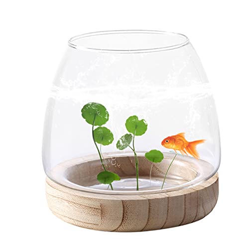 Kleine Fischtankglas Vase Fischschüssel Vasen hydroponische transparente Pflanzenvasen für Heimbüro -Dekor -Pflanzgefäße von SHITOOMFE