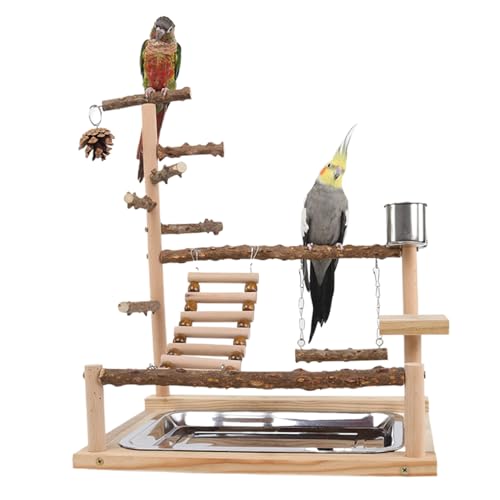 SHITOOMFE Papageistand, Vogelspielplatz Naturholz Papageienständer mit Feeder Cup Bird Perch Spiele Gymnastik Blockierspielzeug Mehrzweck -Papagei von SHITOOMFE