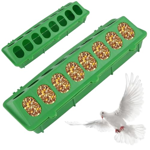 Wachtelfutter, Baby Chick Feeder, 2pcs Plastik Wachtel, 16 Löcher ohne Durcheinander Keine Abfalltaubenwasserer, leicht zu reinigender Vogelwasserspender von SHITOOMFE