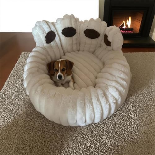 Flauschig Haustierbett Warm Hundebett Katzenbett Niedlich Bärentatzen-Form Hundekissen Katzenkissen Indoor Weich Haustier Schlafbett für Katzen Kleine Mittelgroße Hunde Andere Haustiere (Beige, 50cm) Flauschig Haustierbett Warm Hundebett Katzenbett Niedlich Bärentatzen-Form Hundekissen Katzenkissen Indoor Weich Haustier Schlafbett für Katzen Kleine Mittelgroße Hunde Andere Haustiere (Beige, 50cm) von SHJOEE