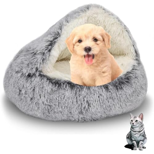 Grau 65cm Flauschig Hundebett Muschelform Katzenbett Warm Tierbett Haustierbett Waschbar Hundesofa Katzensofa Plüsch Hundekorb Katzenkorb Weich Hundekissen Katzenkissen Hunde Katzen Schlafplatz Grau 65cm Flauschig Hundebett Muschelform Katzenbett Warm Tierbett Haustierbett Waschbar Hundesofa Katzensofa Plüsch Hundekorb Katzenkorb Weich Hundekissen Katzenkissen Hunde Katzen Schlafplatz von SHJOEE