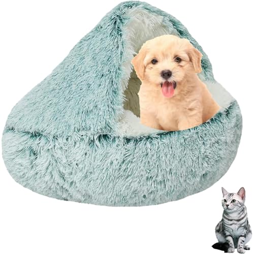 Grün 65cm Hundebett Muschelform Katzenbett Warm Tierbett Haustierbett Waschbar Hundesofa Katzensofa Plüsch Hundekorb Katzenkorb Weich Hundekissen Katzenkissen Gemütlich Hunde Katzen Schlafplatz Grün 65cm Hundebett Muschelform Katzenbett Warm Tierbett Haustierbett Waschbar Hundesofa Katzensofa Plüsch Hundekorb Katzenkorb Weich Hundekissen Katzenkissen Gemütlich Hunde Katzen Schlafplatz von SHJOEE