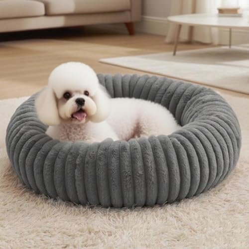 SHJOEE Flauschig Haustierbett Waschbar Hundebett Katzenbett Rund Donut Hundekorb Indoor Katzenkissen Katzenkorb Plüsch Welpenbett Schlafplatz für Katzen Kleine Mittelgroße Hunde und Andere Haustiere SHJOEE Flauschig Haustierbett Waschbar Hundebett Katzenbett Rund Donut Hundekorb Indoor Katzenkissen Katzenkorb Plüsch Welpenbett Schlafplatz für Katzen Kleine Mittelgroße Hunde und Andere Haustiere von SHJOEE