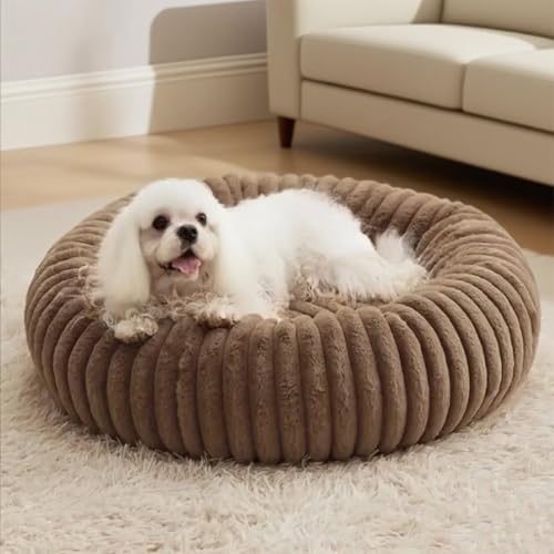 SHJOEE Flauschig Haustierbett Waschbar Hundebett Katzenbett Rund Donut Hundekorb Indoor Katzenkissen Katzenkorb Plüsch Welpenbett Schlafplatz für Katzen Kleine Mittelgroße Hunde und Andere Haustiere SHJOEE Flauschig Haustierbett Waschbar Hundebett Katzenbett Rund Donut Hundekorb Indoor Katzenkissen Katzenkorb Plüsch Welpenbett Schlafplatz für Katzen Kleine Mittelgroße Hunde und Andere Haustiere von SHJOEE