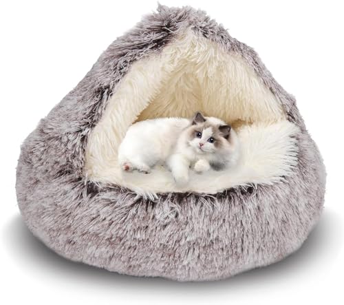 SHJOEE Flauschig Hundebett Muschelform 50cm Katzenbett Warm Tierbett Haustierbett Waschbar Hundesofa Katzensofa Plüsch Hundekorb Katzenkorb Weiche Kuschelbett für Den Schlaf im Innenbereich SHJOEE Flauschig Hundebett Muschelform 50cm Katzenbett Warm Tierbett Haustierbett Waschbar Hundesofa Katzensofa Plüsch Hundekorb Katzenkorb Weiche Kuschelbett für Den Schlaf im Innenbereich von SHJOEE