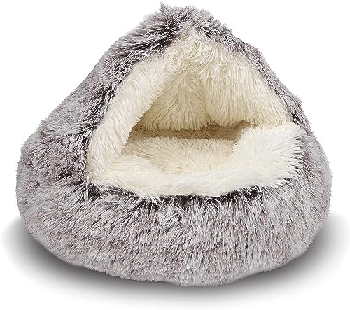 SHJOEE Flauschig Hundebett Muschelform Katzenbett Warm Tierbett Haustierbett Waschbar Hundesofa Katzensofa Plüsch Hundekorb Katzenkorb Weich Hundekissen Katzenkissen Gemütlich Hunde Katzen Schlafplatz SHJOEE Flauschig Hundebett Muschelform Katzenbett Warm Tierbett Haustierbett Waschbar Hundesofa Katzensofa Plüsch Hundekorb Katzenkorb Weich Hundekissen Katzenkissen Gemütlich Hunde Katzen Schlafplatz von SHJOEE