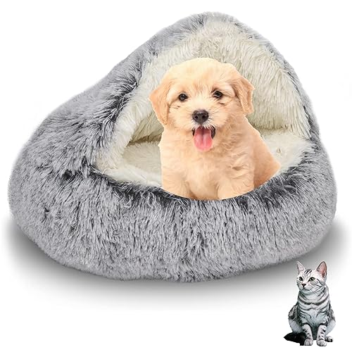 SHJOEE Flauschig Hundebett Muschelform Katzenbett Warm Tierbett Haustierbett Waschbar Hundesofa Katzensofa Plüsch Hundekorb Katzenkorb Weich Hundekissen Katzenkissen Gemütlich Hunde Katzen Schlafplatz SHJOEE Flauschig Hundebett Muschelform Katzenbett Warm Tierbett Haustierbett Waschbar Hundesofa Katzensofa Plüsch Hundekorb Katzenkorb Weich Hundekissen Katzenkissen Gemütlich Hunde Katzen Schlafplatz von SHJOEE
