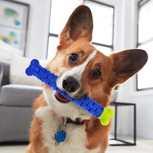 SHOP-STORY - CHEWBRUSH : Kauknochen für Hunde, zum Kauen, Spielzeug mit Bürste und Reinigt die Zahnfleisch, flexibel und robust von SHOP-STORY