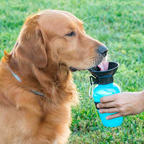 Shop-STORY – Dogwater: Die Reise-Trinkflasche für Hunde mit einer Schüssel gegen Überlaufen von SHOP-STORY