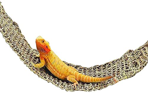 SHOPANTS Reptilien-Eidechsen-Hängematte aus natürlichen Grasfasern, für kleine Tiere, Hängematte für Bartagamen, Geckos, Iguanas von SHOPANTS